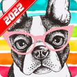 프로그램 아이콘: Dog Wallpaper
