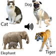 رمز البرنامج: Animal sounds for kids