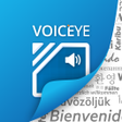 程序图标：VOICEYE