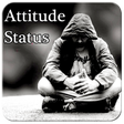 程序图标：Attitude Status