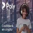 Ikon program: Poly