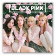 プログラムのアイコン：Blackpink Photo Widgets