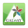 程序图标：Galway Field Officer