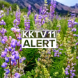 程序图标：KKTV News