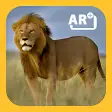 Tiere Afrikas 3D
