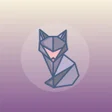 Programın simgesi: FastFox VPN: Secure VPN P…
