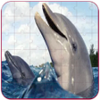 Icon of program: Real Dolphins Game : Jigs…