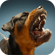 Иконка программы: Dog Sounds