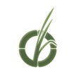 程序图标：Pollen Wise