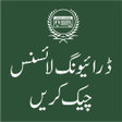 Ikon program: Driving License Verificat…