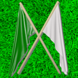 Ikon program: GAA Scores