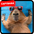 程序图标：Capybara Wallpapers Cute …