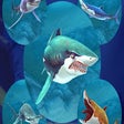 Shark.IO icon
