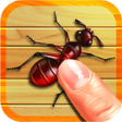 أيقونة البرنامج: Bug Smash