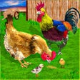 Hen Simulator Family Survival