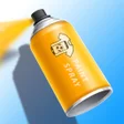 プログラムのアイコン：DIY Spray Paint Artist