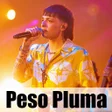 أيقونة البرنامج: Peso Pluma Wallpapers HD …