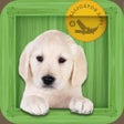 Icon of program: Animal Zoo - Flash Cards …