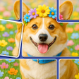 プログラムのアイコン：Jigdom: Jigblock Puzzle