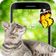 程序图标：Screen Fun Animals