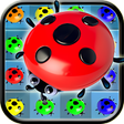 プログラムのアイコン：Ladybug Match3 Miracle Ki…