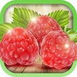 프로그램 아이콘: Edible Wild Plants