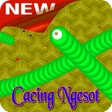 プログラムのアイコン：New Classic Snake Worm of…