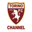 程序图标：Torino FC Channel
