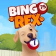 Icon of program: Bingo Rex