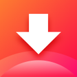 程序图标：Video Downloader