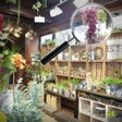 Icoon van programma: Mess In The Mall