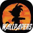 Icon of program: Wallpapers Guerreros Saya…