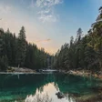 プログラムのアイコン：Forest Wallpapers