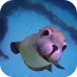 Sea Life HD Video Wallpapers G