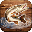 ไอคอนของโปรแกรม: Fish rain: sport fishing