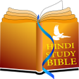 プログラムのアイコン：Hindi Study Bible NT