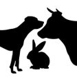 Иконка программы: breedSmart