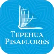 Tepehua Pisaflores Bible