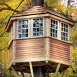 Ikona programu: Can You Escape Tree House