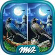 Icon of program: Find the Differences Haun…