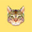 ไอคอนของโปรแกรม: Meow Blocker PRO