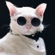 Icoon van programma: Disable Media Sizes
