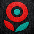 Ícone do programa: Pin Sport app