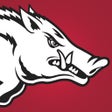 プログラムのアイコン：Arkansas Razorbacks