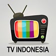 Ikon program: Live Streaming TV Indones…