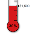 Ikon program: Donation Thermometer