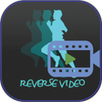 プログラムのアイコン：Reverse Video - it's magi…