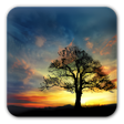 Ícone do programa: Sunset Hill Free LiveWall…