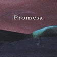 プログラムのアイコン：Promesa