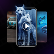 أيقونة البرنامج: Video Wallpaper - Set Vid…